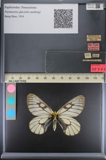 Media type: image;   Entomology 210421